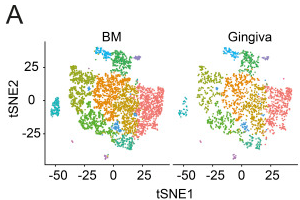 tSNE plots show clustering in the two tissues.